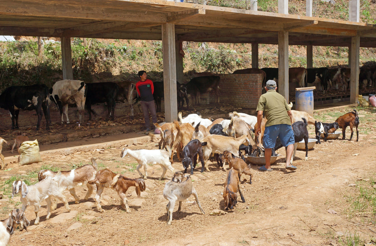 19 Days Mera Peak Climbing & Expedition – One Life-Changing Himalayan Adventure