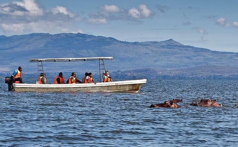Day Tour of Lake Nakuru and Naivasha from Nairobi