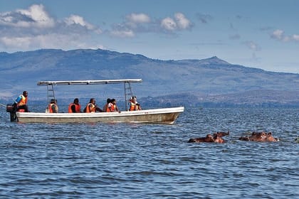 Day Tour of Lake Nakuru and Naivasha National Park from Nairobi
