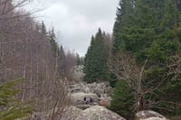 Private Day Trip to Vitosha Mountain- Heritage and Hiking 7