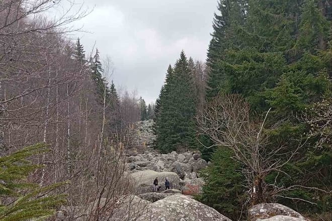 Vitosha Mountain- Heritage and Hiking- Private Day Trip  7