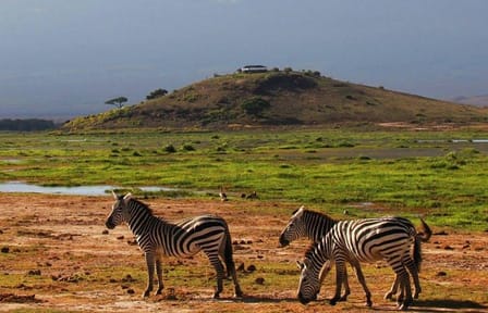 3-Day Group Safari in Amboseli National Park, Kenya