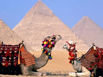 8-Day Cultural Tour of Cairo and Nile Cruise in Egypt