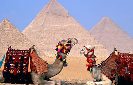 8-Day Cultural Tour of Cairo and Nile Cruise in Egypt