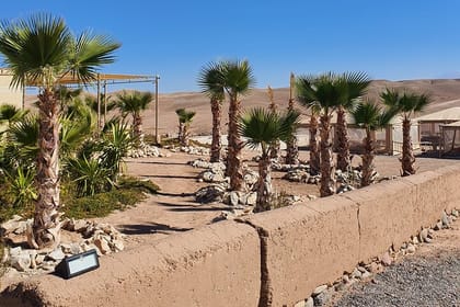 Agafay Desert, Sunset, Camel Ride And Diner