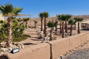 Camel Ride and Dinner Experience in Agafay Desert, Marrakech