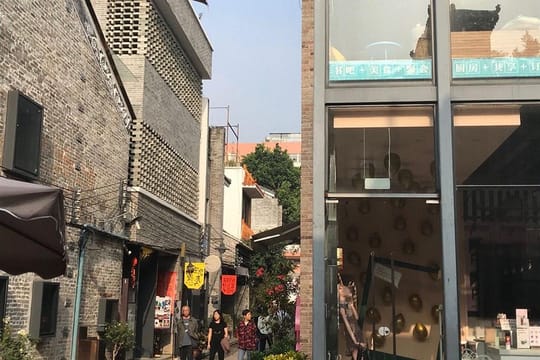 Half Private Day Tour to Old City of Guangzhou 