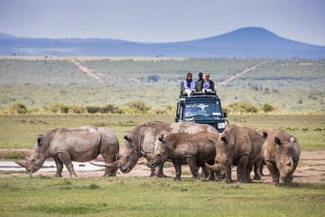 Day Trip To Ol Pejeta Conservancy Rhino And Chimpanzee Sanctuary