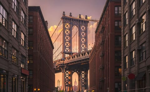 Explore New York City Contrasts and Dyker Heights Lights Tour