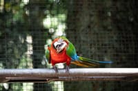 Bird Park