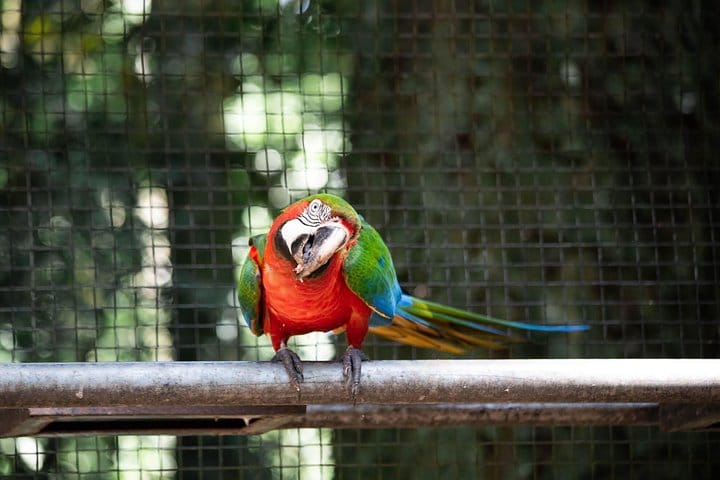 Bird Park