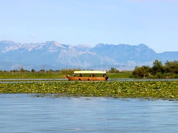 Amazonian vibes in Montenegro: sail through Lake Skadar’s lush channels and vibrant flora.