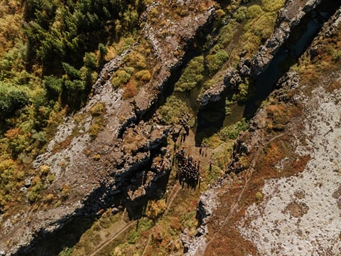 The Golden Circle | Private Tour, photo 16