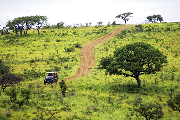 Wildlife and rolling hills inside Africa’s oldest reserve
