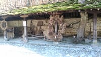 Skip the Line: Tour in Open Air Ethnographic Museum ETAR + ticket 5