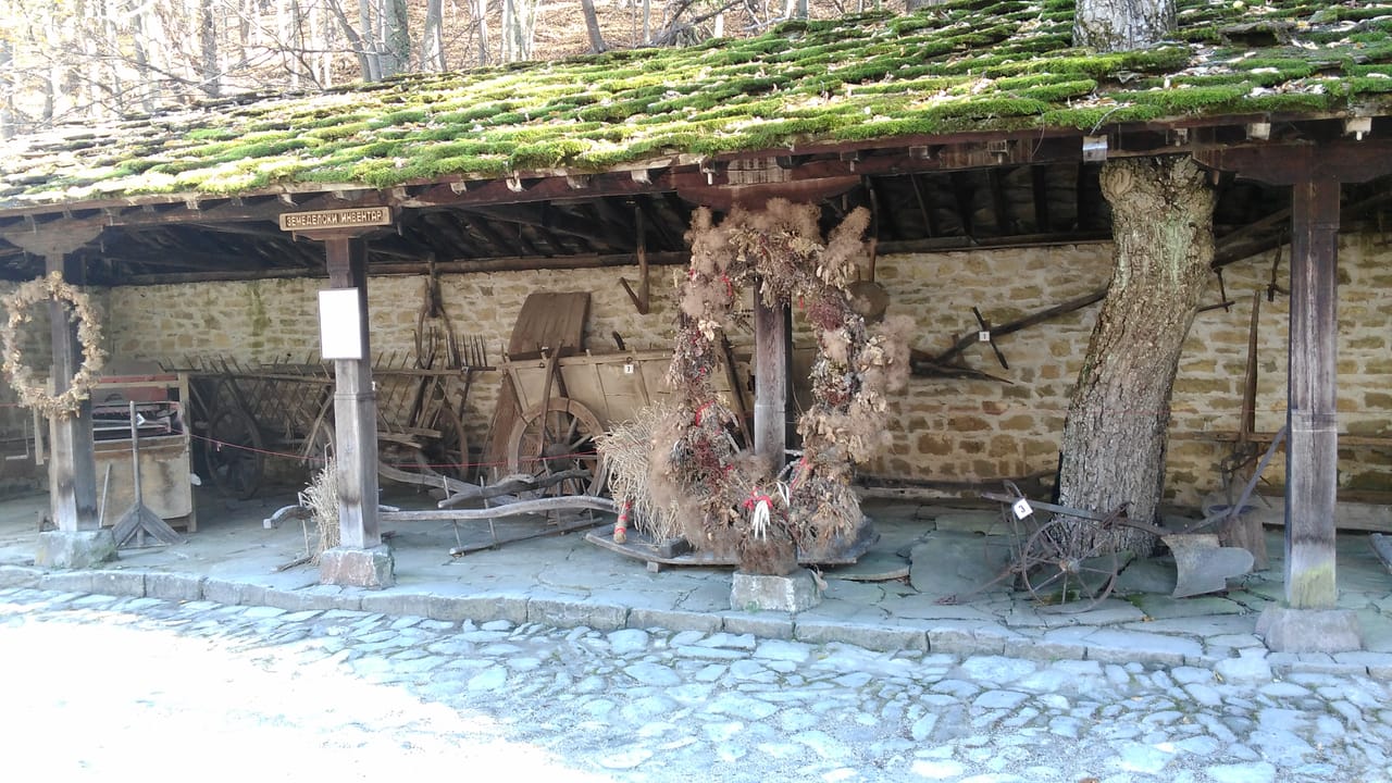 Skip the Line: Tour in Open Air Ethnographic Museum ETAR + ticket 5