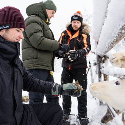 Visit a Real Reindeer Farm - Image 10