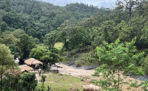Chiang Mai: Waterfall, Elephant Sanctuary and Bamboo Rafting