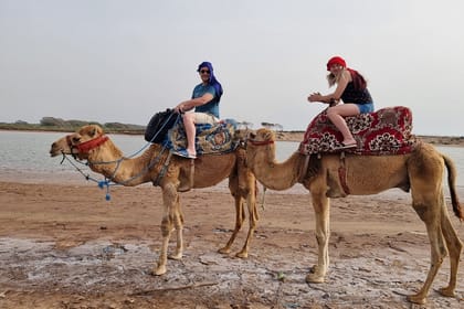 Camel riding in Taghazoute