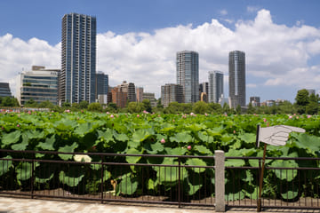 Self-Guided Walking Tour of Taito City, Tokyo