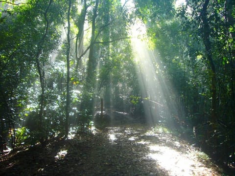 Bird Watching & Trekking in Udawatta Kele Sanctuary