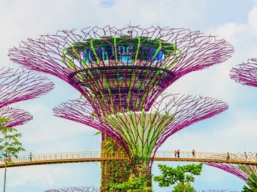 Garden by the Bay