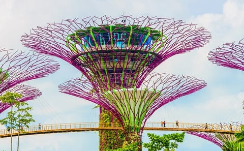 Singapore Gardens by the Bay Admission Skip-The-Line E-Ticket