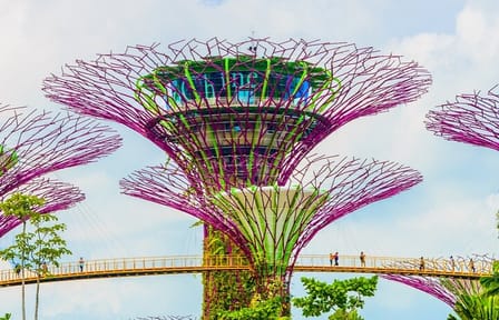 Singapore Gardens by the Bay Admission Skip-The-Line E-Ticket