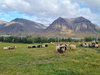 2 Hour Sightseeing Adventure, photo 24
