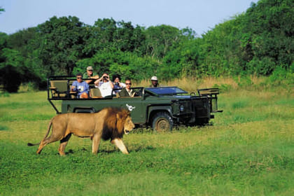 African safaris