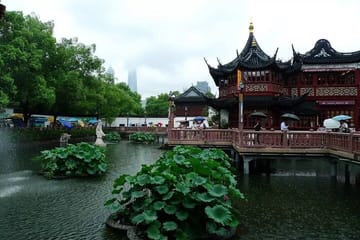 Private 8-Hour Shanghai Layover Tour with Local Guide