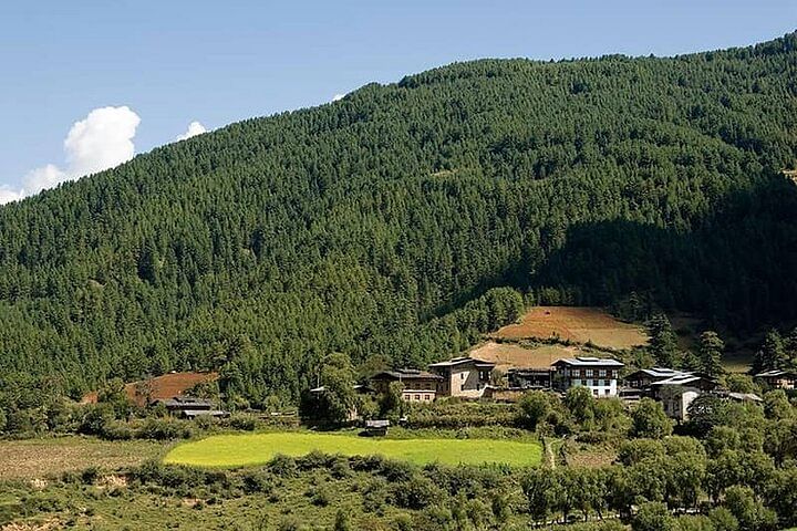 Bhutan Cultural Tour: Explore Temples, Villages & Trek Bumthang Valley