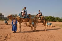 Camel riding with BBQ and sunset 8