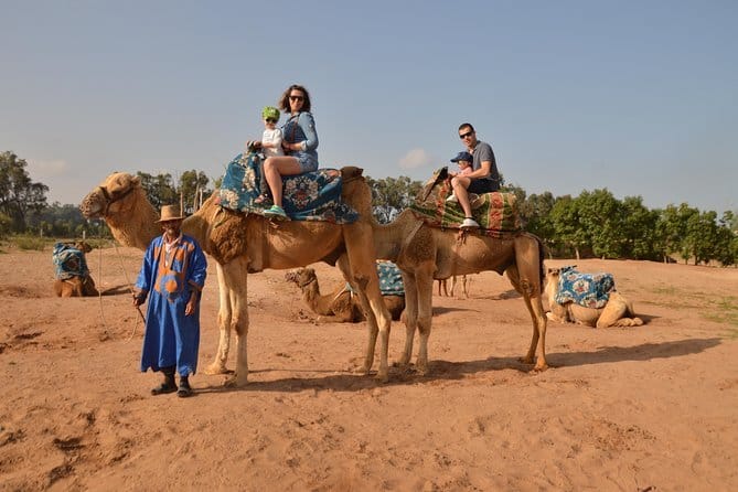 Camel riding with BBQ and sunset 8