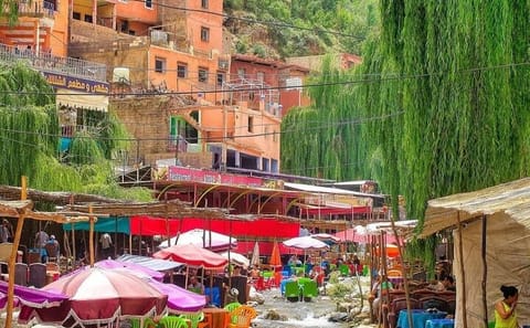 Private Day Trip to Ourika Valley Villages and Waterfalls