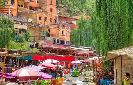 Marrakech: Ourika Valley Villages & Waterfalls Private Day Trip