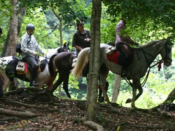 Half-Day Horse Riding Tour in Dambulla and Sigiriya