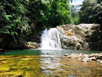 Sinharaja Rain Forest Adventure Tour from Tangalle