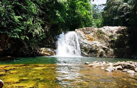 Sinharaja Rain Forest Tour from Tangalle