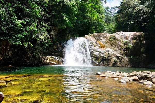  From Tangalla: Sinharaja Trekking Day Tour