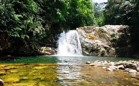 Sinharaja Rain Forest Adventure Tour from Tangalle