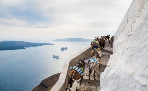 Three-Day Cultural Tour of Santorini, Greece