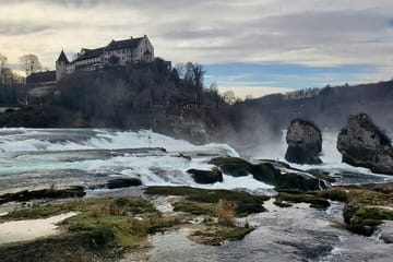 Black Forest and Rhine Falls Day Trip from Zurich