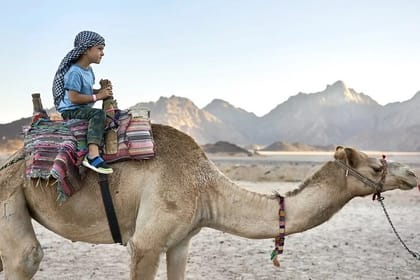 Marsa Alam Desert Adventure: Jeep, Quad, and Camel with Dinner