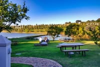 Full Day Wine Tour in Stellenbosch with Shine The Way Tours 5