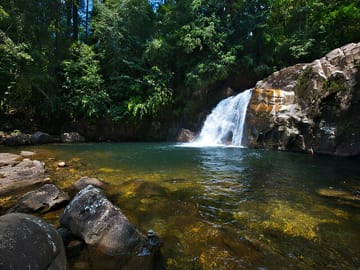 Sinharaja Rainforest Day Trip from Colombo to Galle