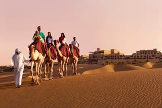 Amazing Full Day Liwa Desert Safari from Abu Dhabi