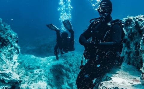 Scuba Diving Adventure in Bodrum with Lunch and Transfers