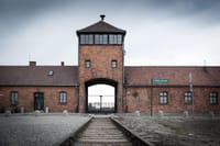 Krakow to Auschwitz-Birkenau: Private Round-Trip Experience 2