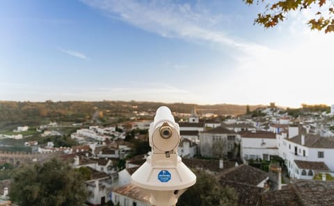 Private 11-Hour Cultural Tour of Lisbon and Batalha